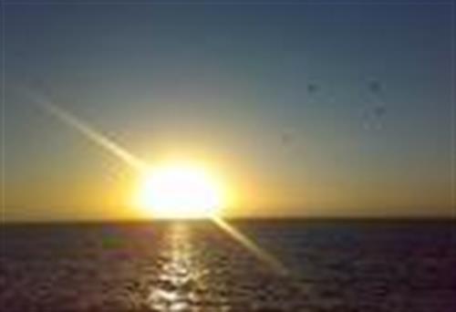 shahram&nbsp;mirzayari